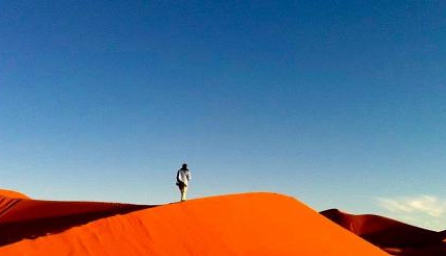 Discover the world with a guide