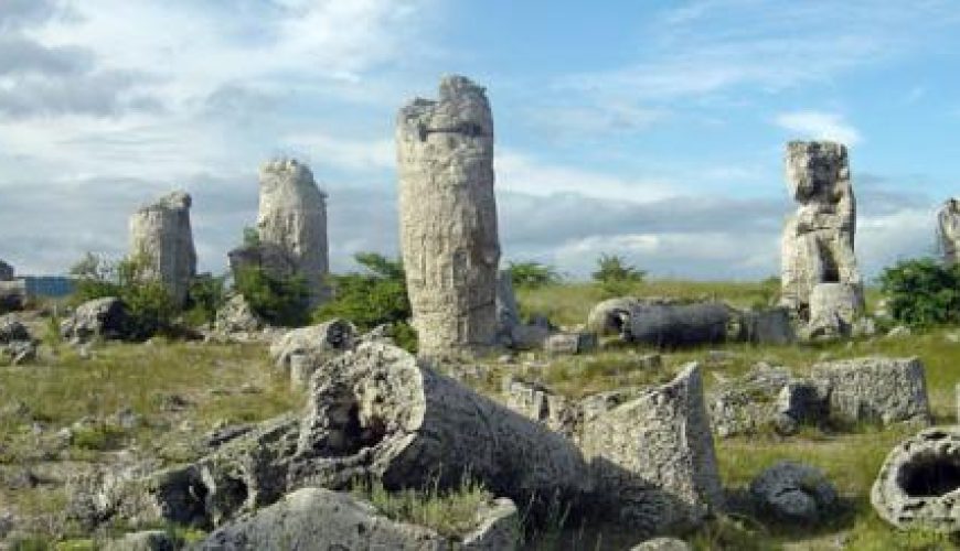 Discover the world with a guide