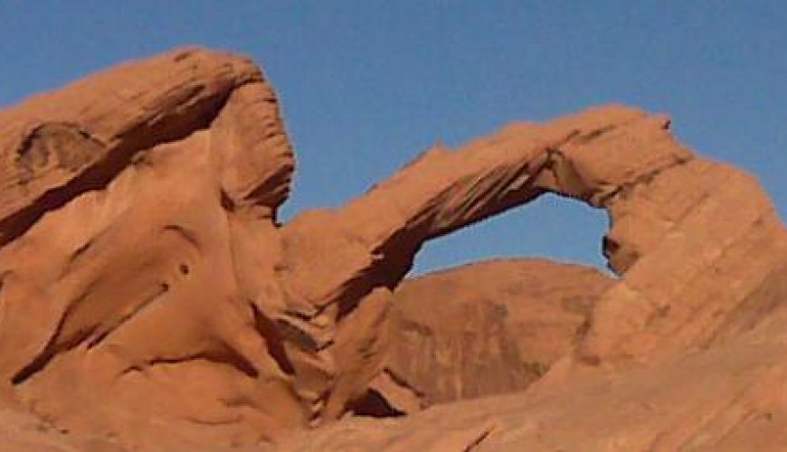 Discover the world with a guide