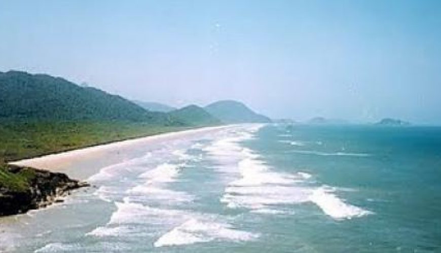 Discover the world with a guide