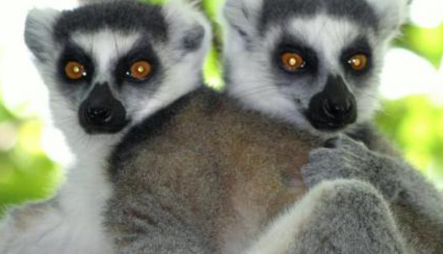 Discover the world with a guide