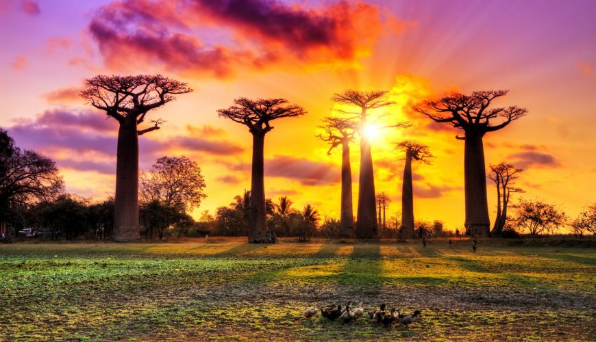 Discover the world with a guide