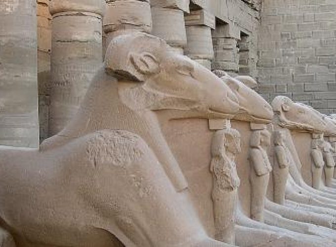 Discover the world with a guide