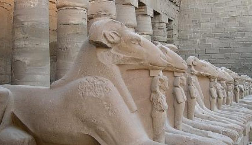 Discover the world with a guide