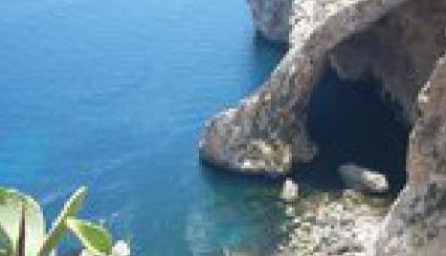 Discover the world with a guide