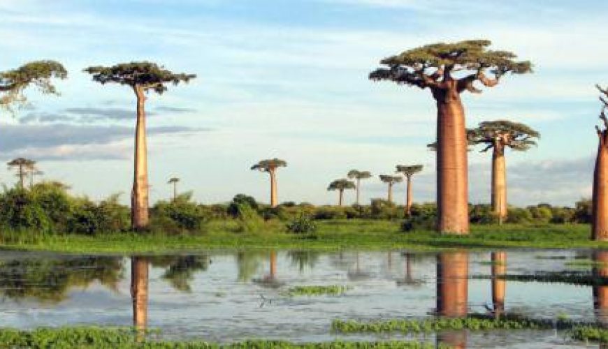 Discover the world with a guide