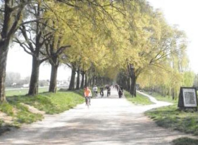 Discover the world with a guide