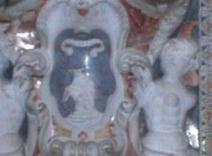 Discover the world with a guide