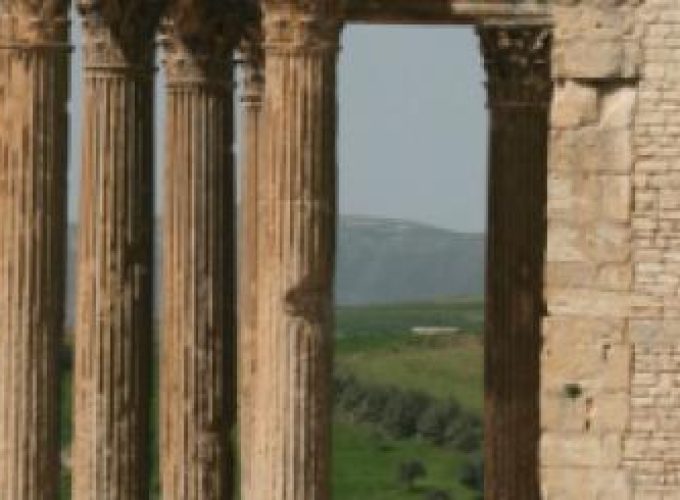 Discover the world with a guide