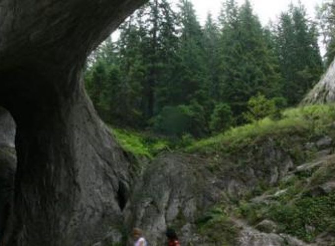 Discover the world with a guide