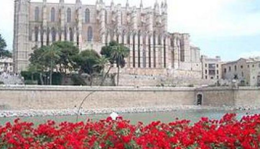 Discover the world with a guide