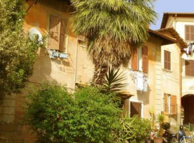 Discover the world with a guide