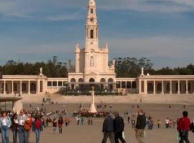 Discover the world with a guide