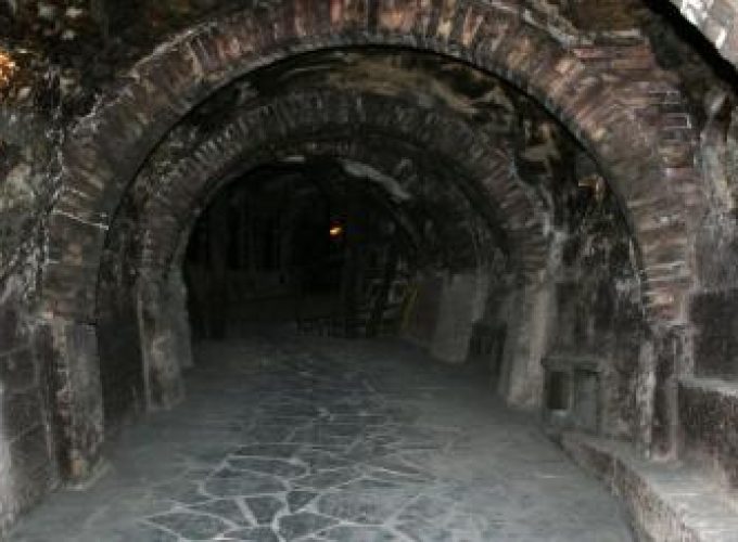 Discover the world with a guide