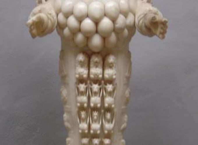 Discover the world with a guide