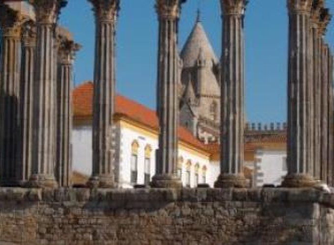 Discover the world with a guide