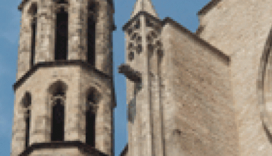 Discover the world with a guide