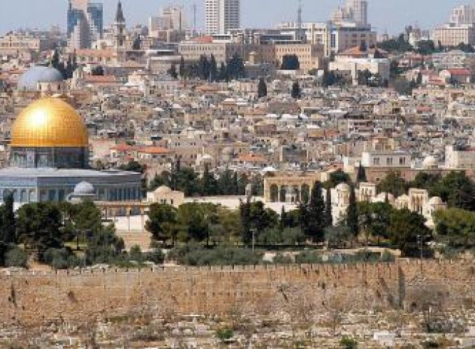 Discover the world with a guide