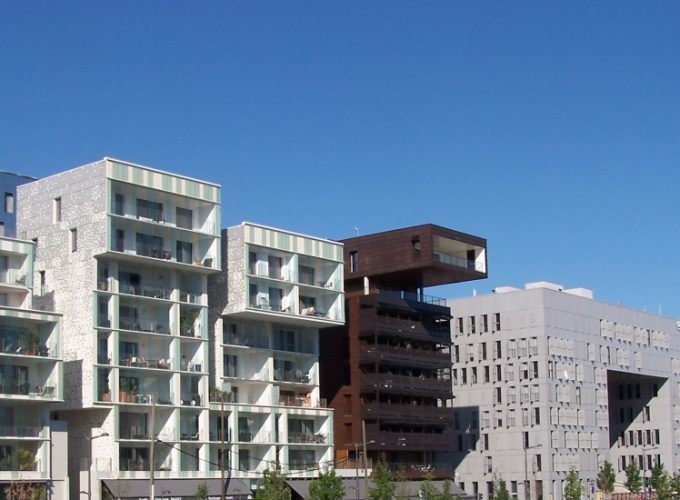 Discover the world with a guide