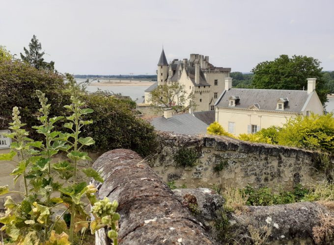 Discover the world with a guide