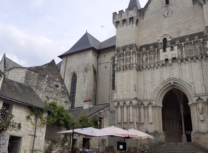 Discover the world with a guide