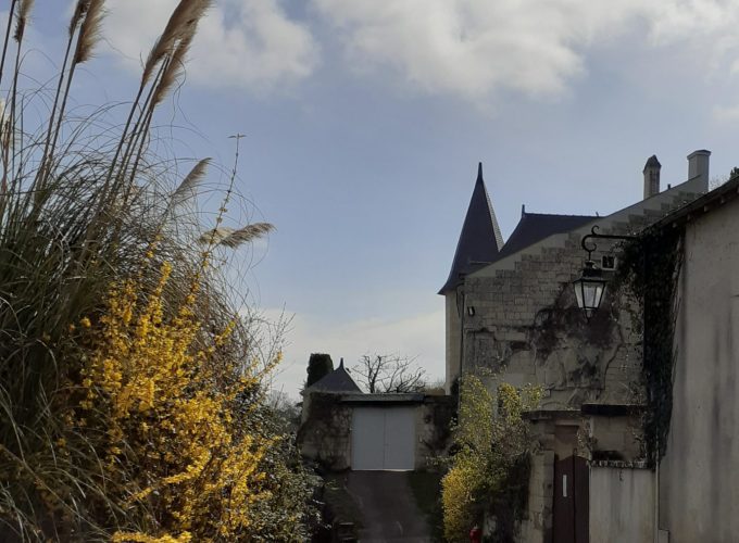 Discover the world with a guide