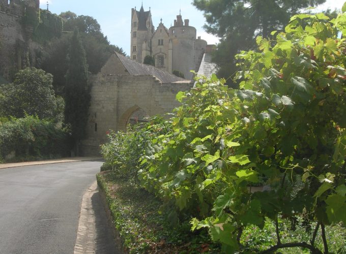 Discover the world with a guide