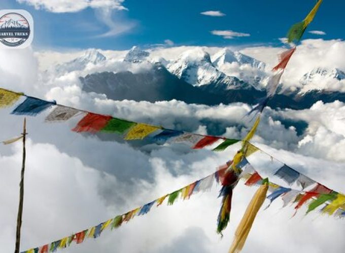 Discover the world with a guide
